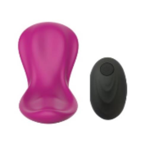 Wing Panty Vibe Remote Control