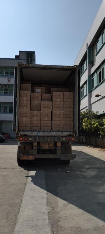 Langest Export Adult Toys Goods in Container to Overseas Customer